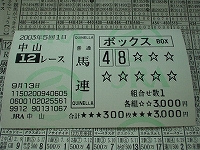 馬券4 (中山12R) (馬 4-8 3000円)